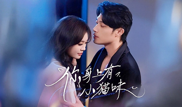 你身上有小猫味
