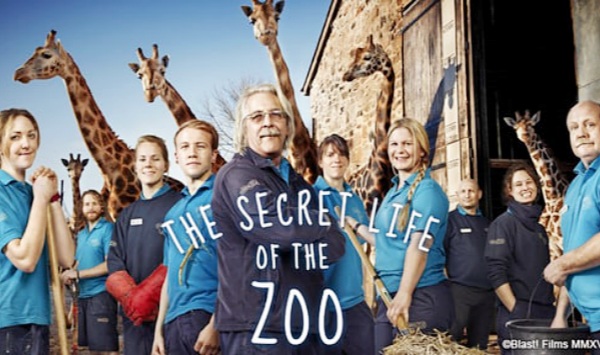 动物园的秘密生活第2季