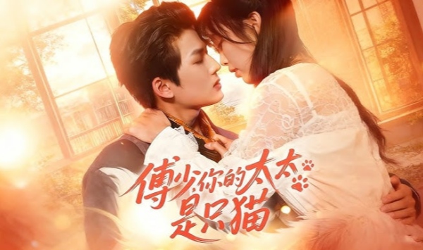 傅少，你的太太是只猫