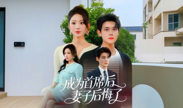 成为首席后，妻子后悔了