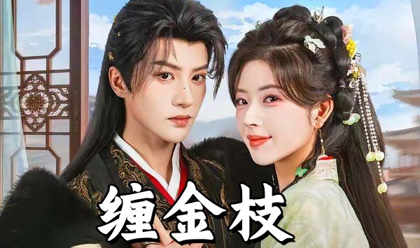 缠金枝
