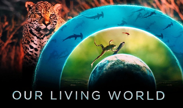 我们的生物世界