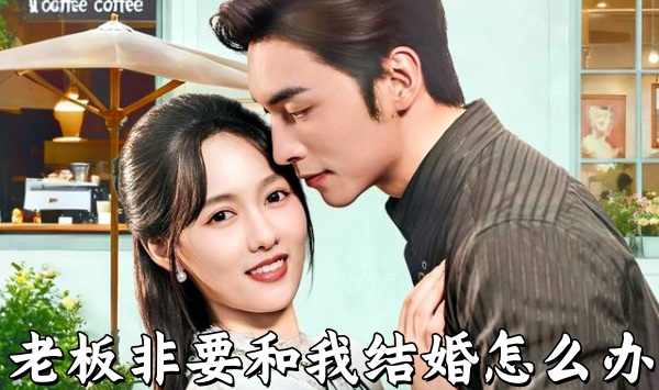 老板非要和我结婚怎么办