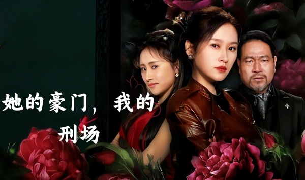 她的豪门，我的刑场