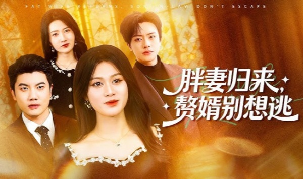 胖妻归来，赘婿别想逃