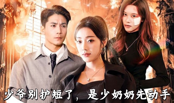 少爷别护短了，是少奶奶先动手