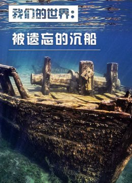 我们的世界被遗忘的沉船