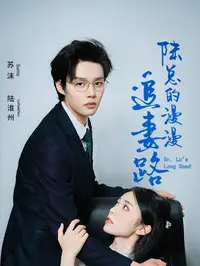 陆总的漫漫追妻路