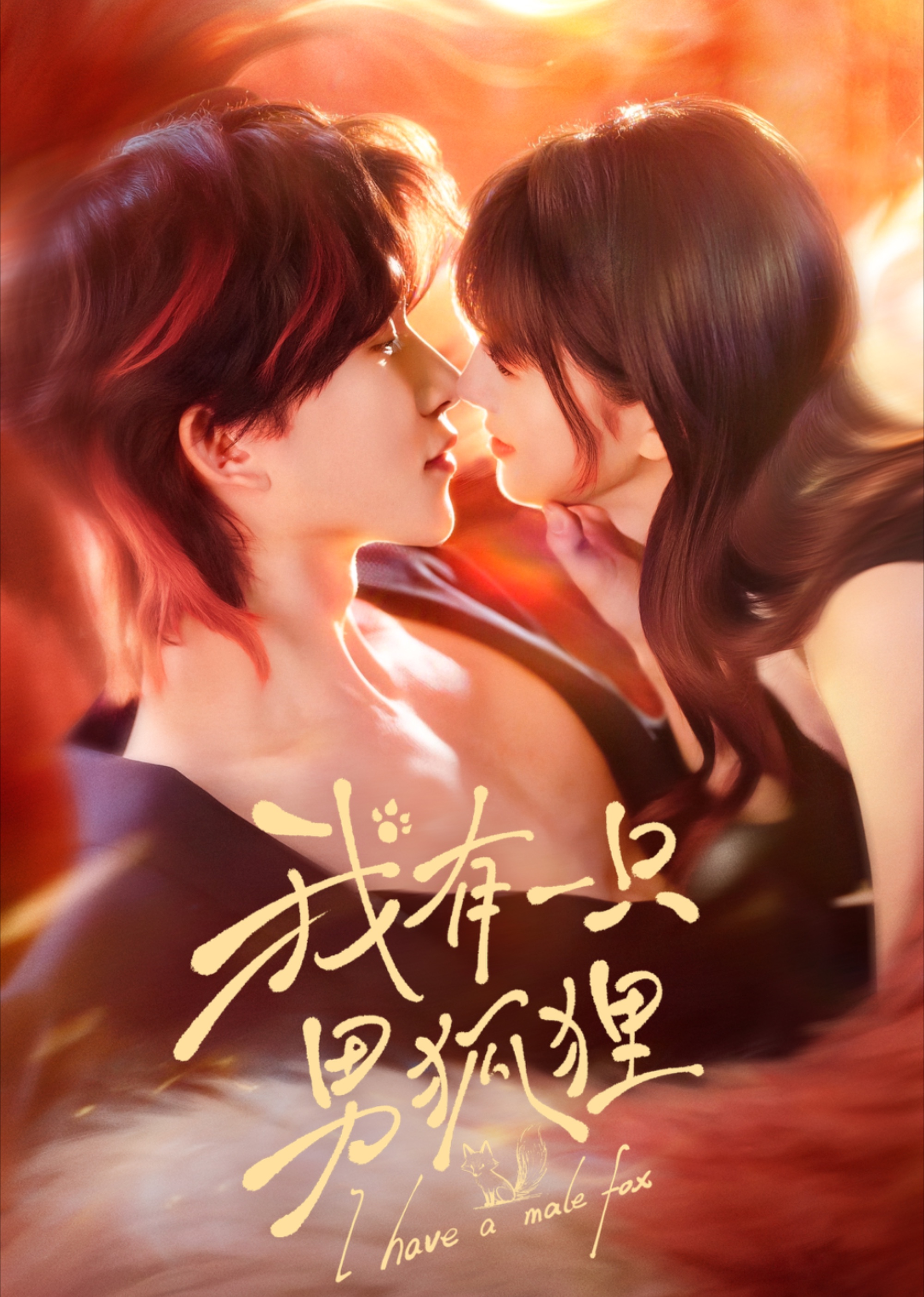 我有一只男狐狸