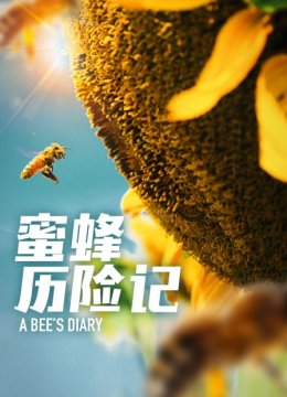 蜜蜂历险记