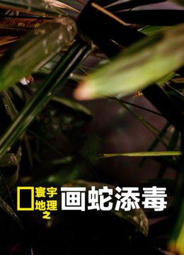 寰宇地理之画蛇添毒