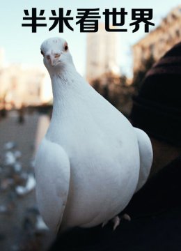 半米看世界