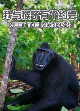 我与猴子有个约会