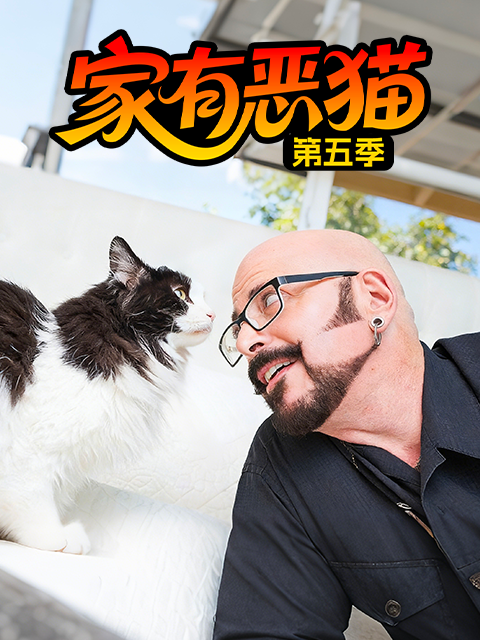 家有恶猫第5季