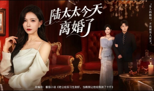 陆太太今天离婚了