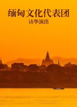 缅甸文化代表团访华演出