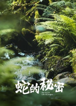 蛇的秘密