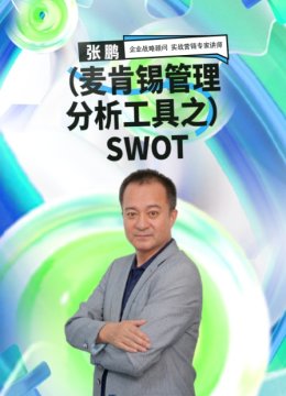 麦肯锡管理分析工具之SWOT