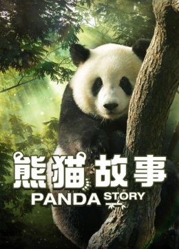 熊猫故事