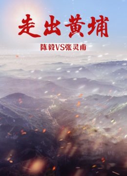 走出黄埔陈毅VS张灵甫