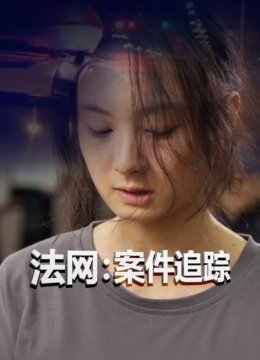 法网案件追踪