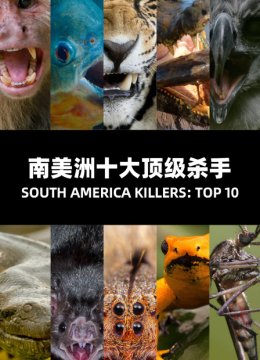 南美洲十大顶级杀手