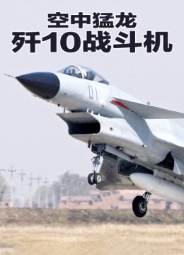 空中猛龙歼10战斗机