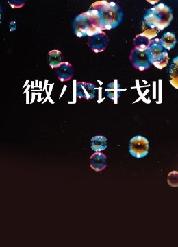 微小计划