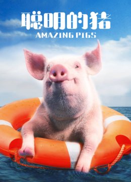 聪明的猪