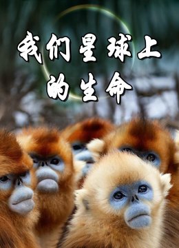 我们星球上的生命
