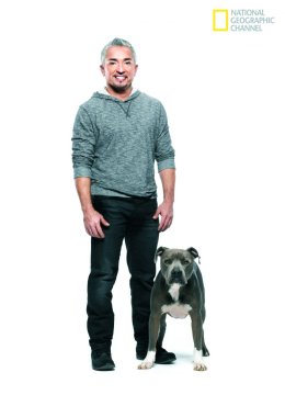 呼叫西萨狗教官第1季