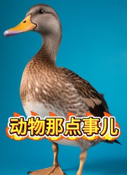 动物那点事儿