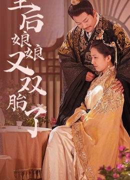 皇后娘娘又双胎了