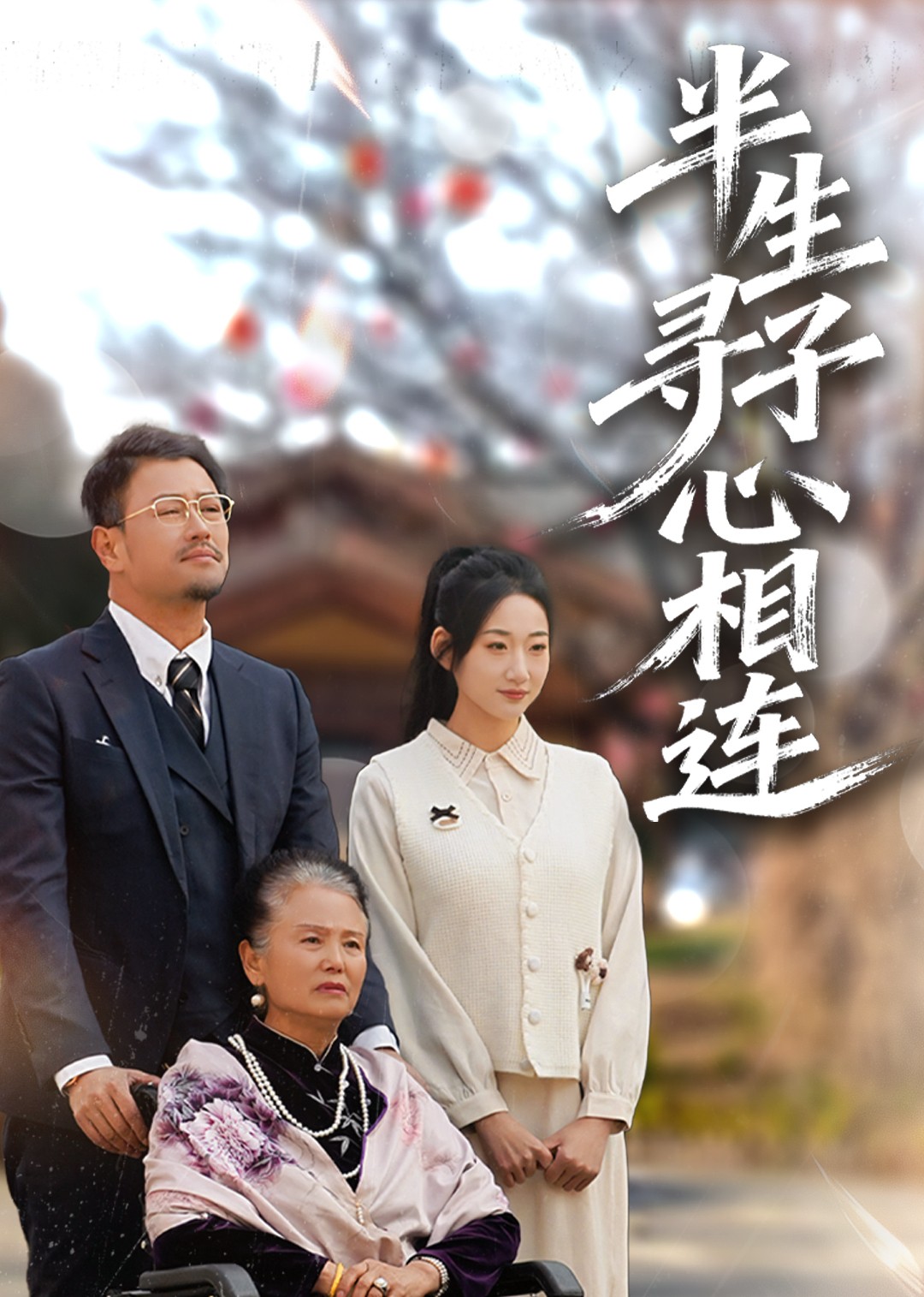 半生寻子心相连