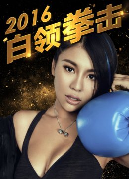 白领拳击2016
