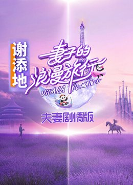 妻子的浪漫旅行夫妇剧情版