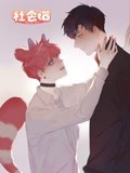 社会喵动态漫画