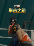 艺流拳击之路