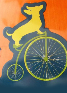 笑笑动物小电影