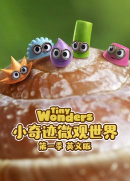 小奇迹微观世界第1季英语文版