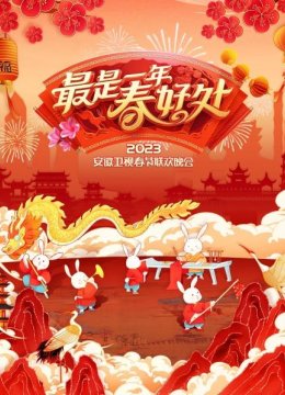 最是一年春好处安徽卫视春节联欢晚会2023