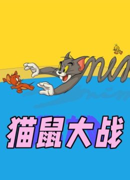 猫鼠大战