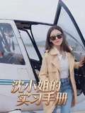 沈小姐的实习手册