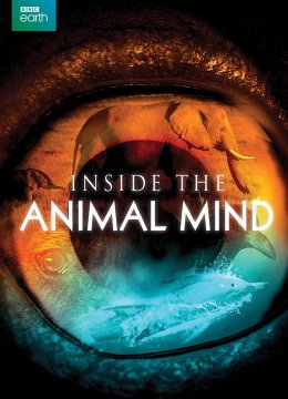 进入动物的思想