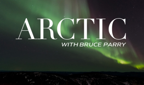 与布鲁斯帕里游北极