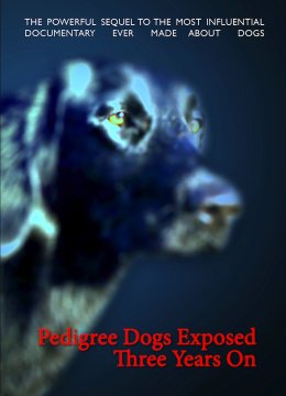 血统犬有害培育揭秘