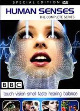 人类感官