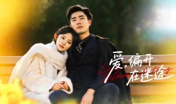 爱，偏开在迷途