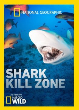 鲨鱼觅食地带