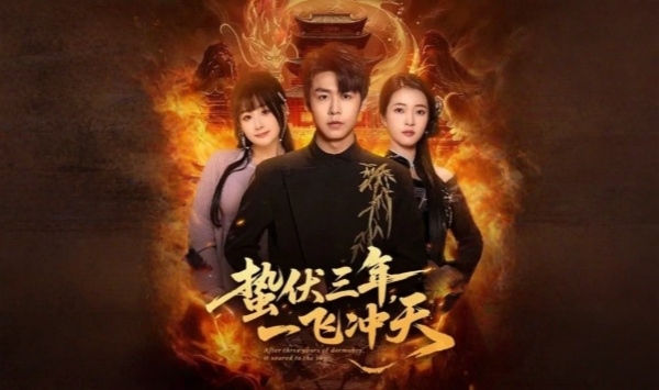 蛰伏三年，一飞冲天